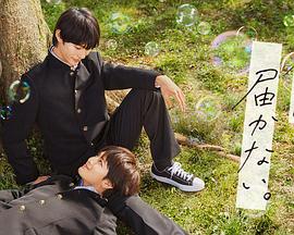 杨浦seo优化几种类型